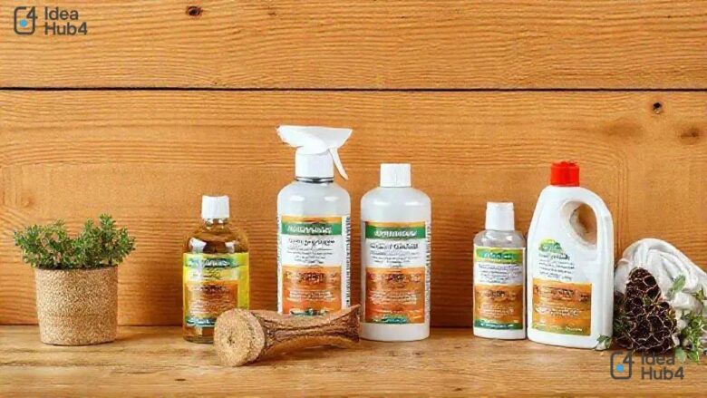 Top 8 métodos para evitar cupins e pragas em móveis de madeira